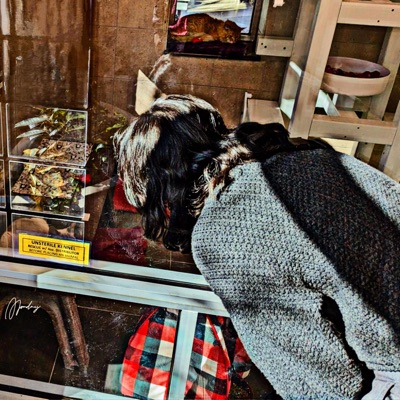 Summer Days & Movie Nights