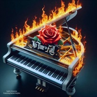 No Time To Fall (feat. Rachel Hayhes) [Remix Version] - Single - Larry Grooves