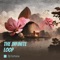 Silent Wisdom - DJ Fortuna lyrics