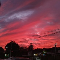 DOUBLE CUP - Single - Young Lunv