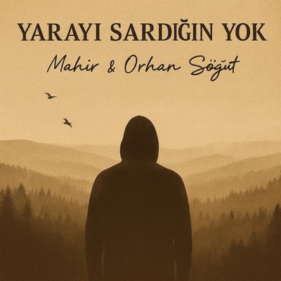Yarayı Sardığın Yok (feat. Orhan Söğüt) - Single