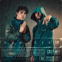 Ordalie (feat. Lim) - Single - Anung