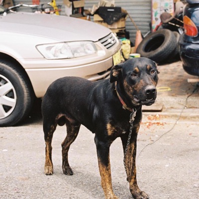 Step Back (feat. Poets One & Dj Rellik) - Single