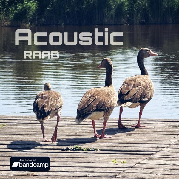Acoustic