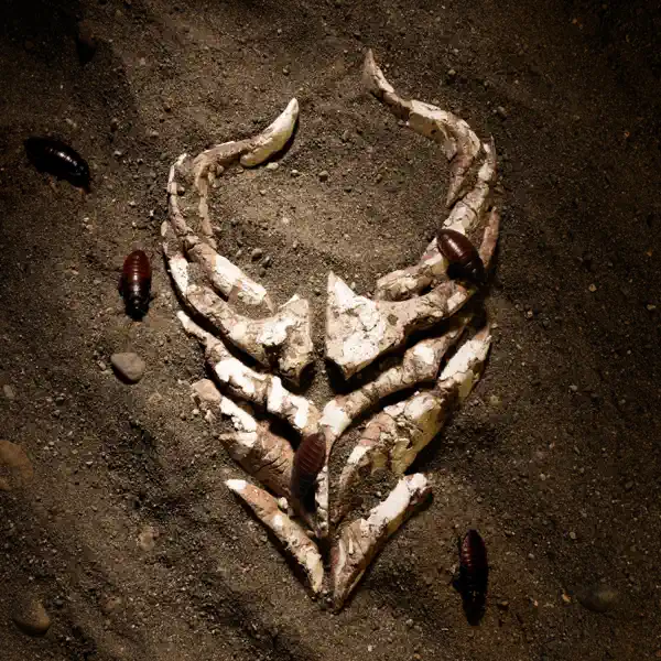 Demon Hunter - I'm Done [single] (2025)