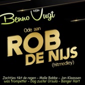 Ode aan Rob de Nijs (Hitmedley) artwork