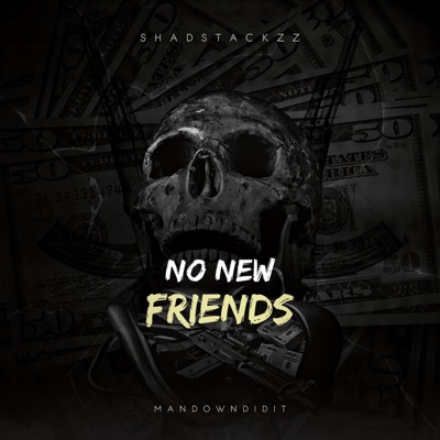 No New Friends (feat. mandowndidit) - Single