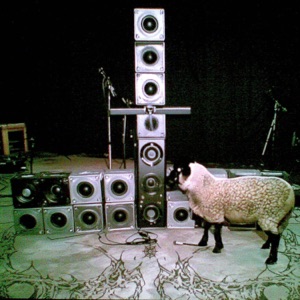 SHEEPSTEP - EP