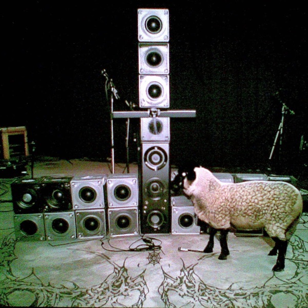 SHEEPSTEP - EP
