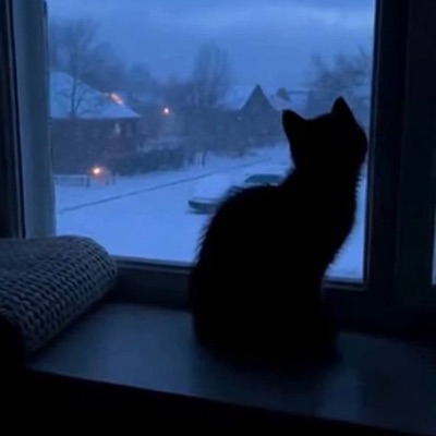 trail in the snow - Single