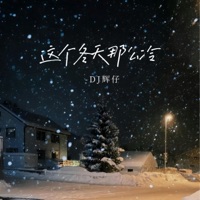 这个冬天那么冷 - Single - DJ辉仔