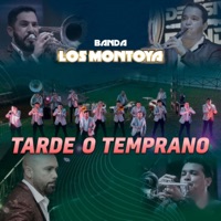 Tarde o Temprano - Single - Banda Los Montoya