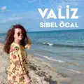 Valiz