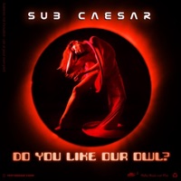 Do You Like Our Owl? - Single - Sub Caesar