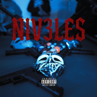NIV3LES (feat. Pochiii) - Single