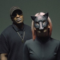 Signal - Single - Quame65 & Antifuchs