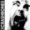 Nur ein Traum - The Crashbones lyrics