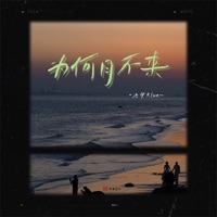 为何月不来 - Single - 洛伊Kloe
