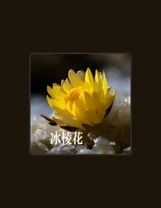 Listen to 钟离, watch music videos, read bio, see tour dates & more!