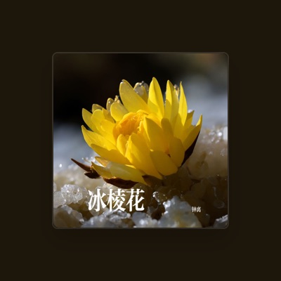 Listen to 钟离, watch music videos, read bio, see tour dates & more!