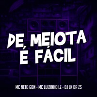 De Meiota é Facil - Single - MC Neto GDN, Mc Luizinho LZ & DJ LK DA ZS