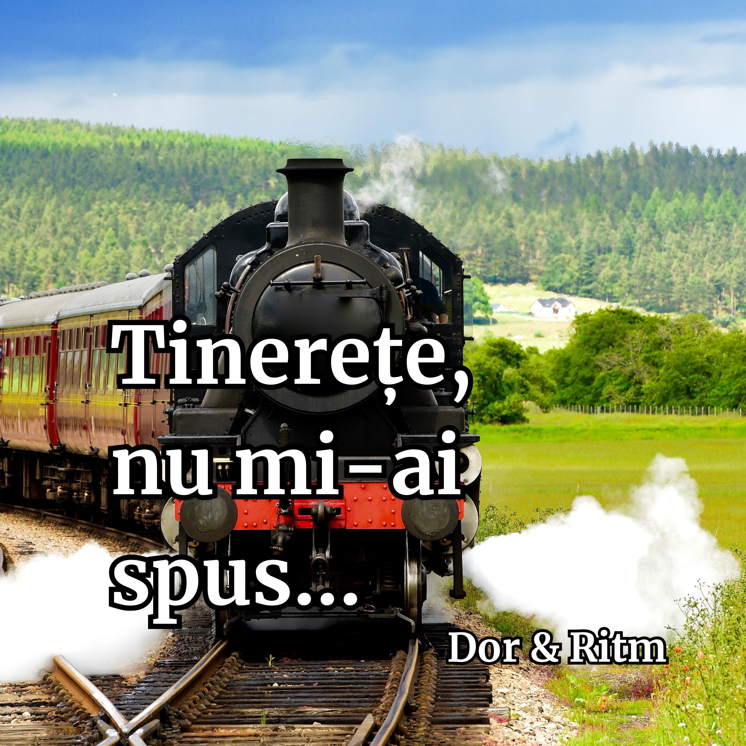 Dor & Ritm - Tinerețe nu mi-ai spus | Cântec despre trecerea timpului și dorul sufletului #dorsiritm