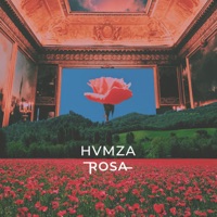 Rosa - Single - HVMZA