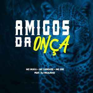 Amigos da Onça (feat. DJ Paulinho)