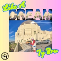Like A Dream - Single - Ty Bru