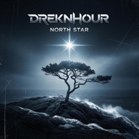 Album cover for Born in the Fire by DreknHour