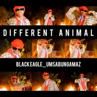 PRIVATE NUMBER: Hidden Calls - EP - Black Eagle_uMsabungamaz