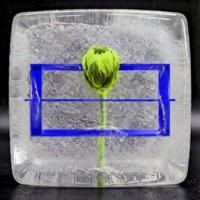 Year 000.000.001 Vol. VII (Part II) - Single - Unnayanaa, AFK (LB), Eli Ishac & Lessovsky