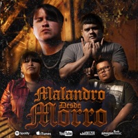 Malandro Desde Morro (feat. Niivy & Zoul G) - Single - LMHLF Oficial