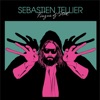 Sébastien Tellier