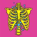 Bones