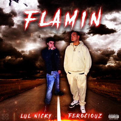 FLAMIN (feat. Ferociouz) - Single