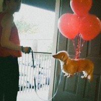 HOLD UP - Single - reidnn