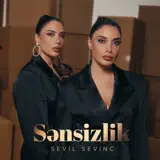Sevil Sevinc - Sənsizlik
