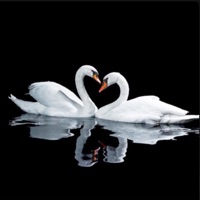 Soul Music (feat. Yuni & Shiloh) - Single - RipOmari