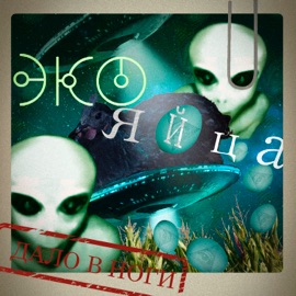 Экояйца ДАЛО В НОГИ