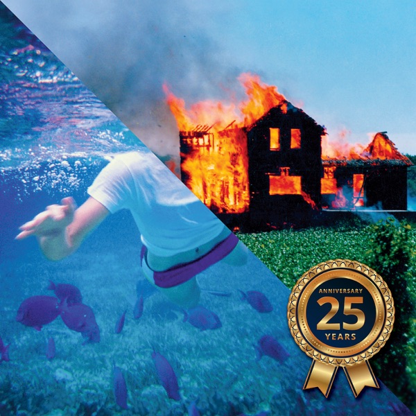 Fibsville 25th Anniversary Remix Edition