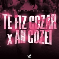 Te Fiz Gozar x Ha Gozei - Single - Dj Qz Official, Mc Mj Ta & MC Trapy