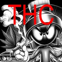 THC (Live) - Single - Baby Milo