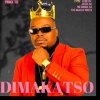 Dimakatso (feat. Leon Lee, Juizee SA, Mr Unique SA & the Angelic Voices) - Single - Prince Tee