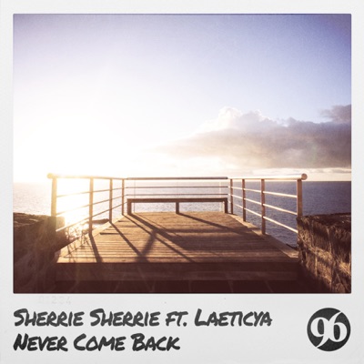 Never Come Back (feat. Laeticya) - Single