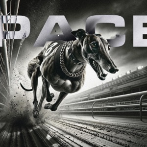 Pace (MG VERSION)