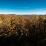 Willowbend Runoff - Single