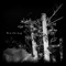 Pulsatile tinnitus - grateful nothing lyrics