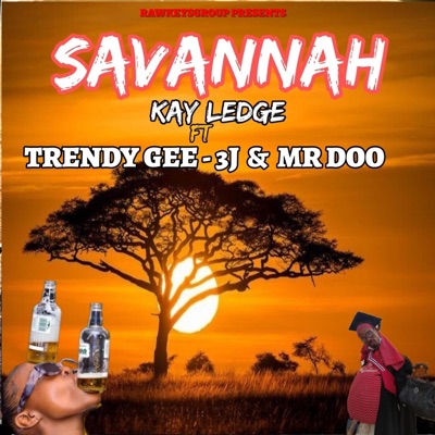 Savannah (feat. Kay ledge, Trendy Gee, 3J & Mr Doo) - Single