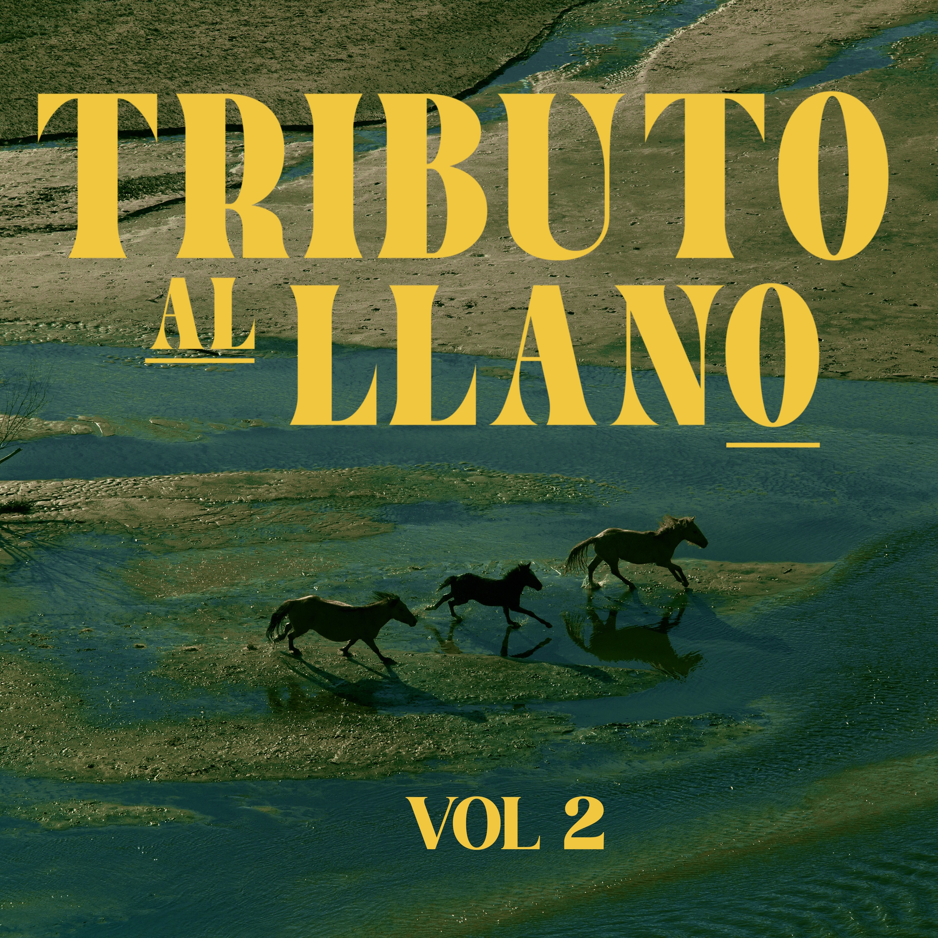 Tributo Al Llano Vol.2 (Instrumental)
